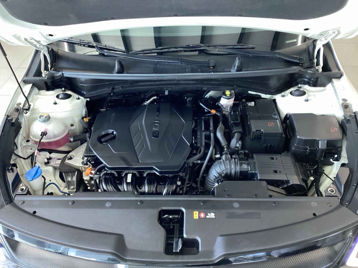 2023 Kia Sportage 5p SXL L4/2.5 Aut