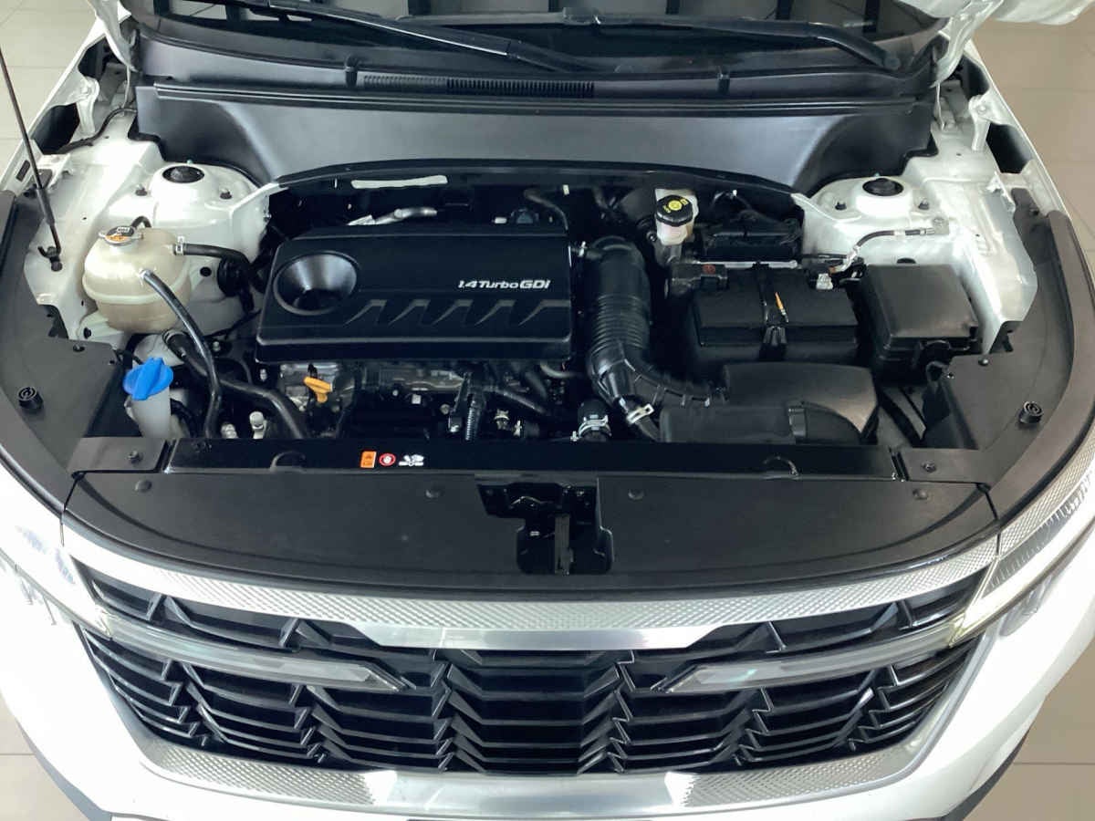 2024 Kia SELTOS 5p SXL L4/1.4/T Aut