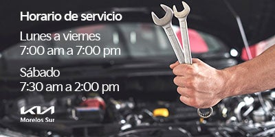 Haz tu servicio KIA.